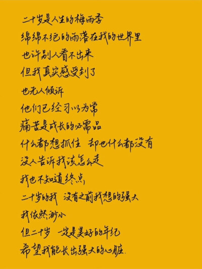 文字/
cr.小红书@坨坨坨小树