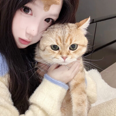 情侣头像