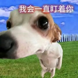 表情包