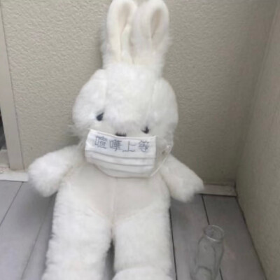 ( ◜◝ )