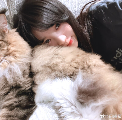 田曦薇头像