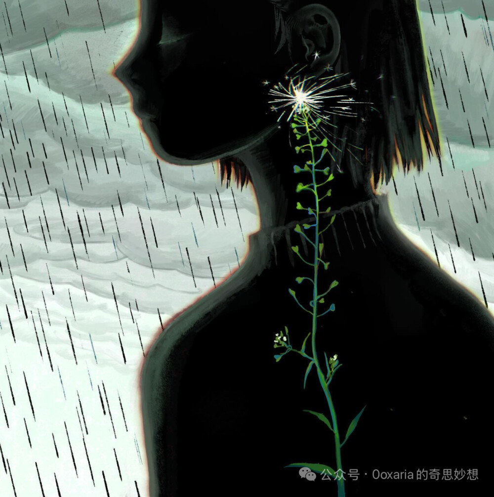 炭烤南瓜 tankaonangua