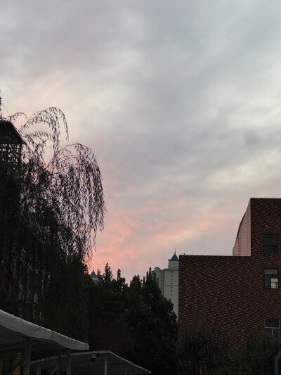天10