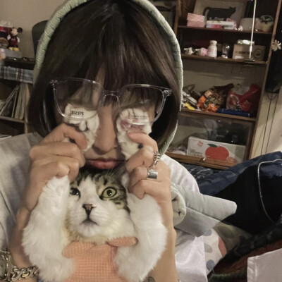 和猫