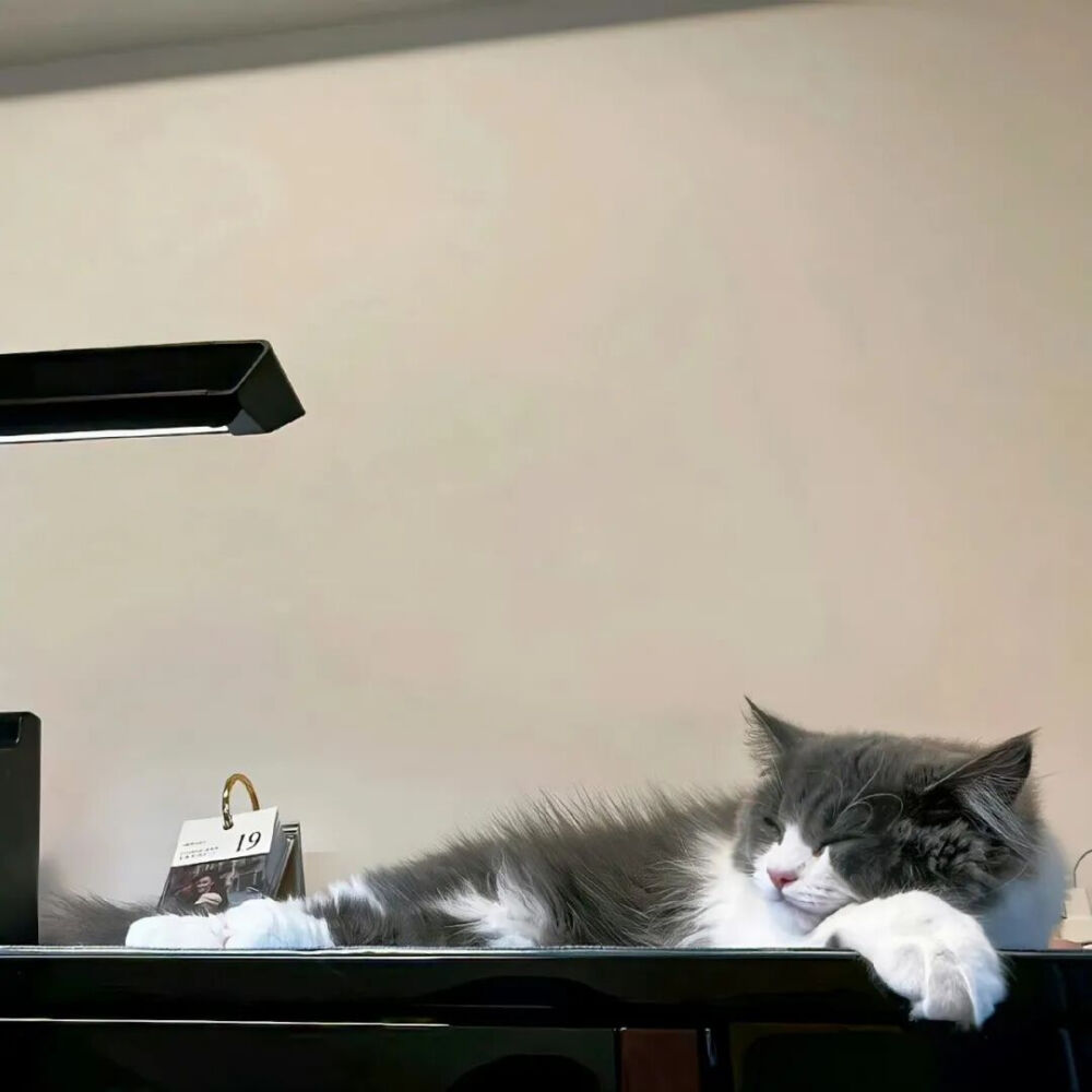 我是不会放弃收集这种图片的