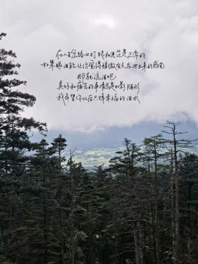文字