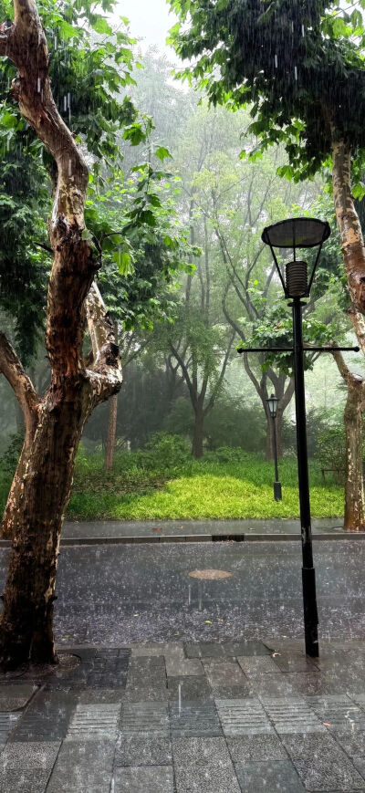 手机壁纸