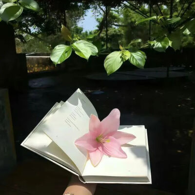 背景图
