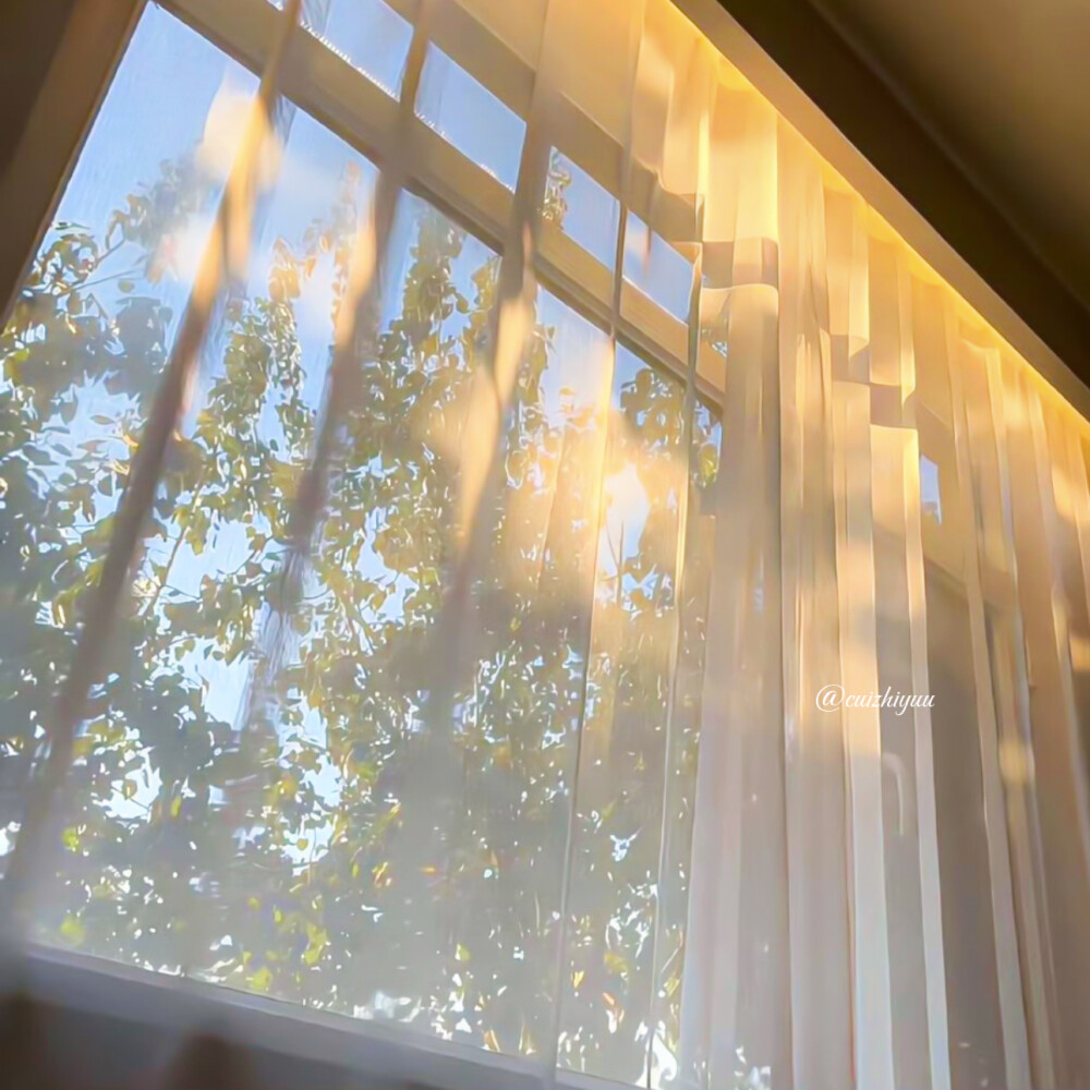 阳光下的星星是眼泪吗