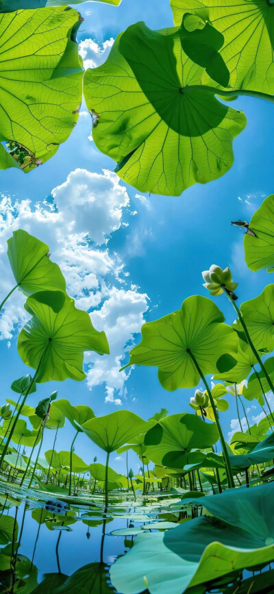 苹果3D壁纸