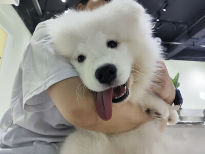 我喜欢大傻狗！
于是又来吃这家自助烤串了，主要是体验diy的乐趣
9.19