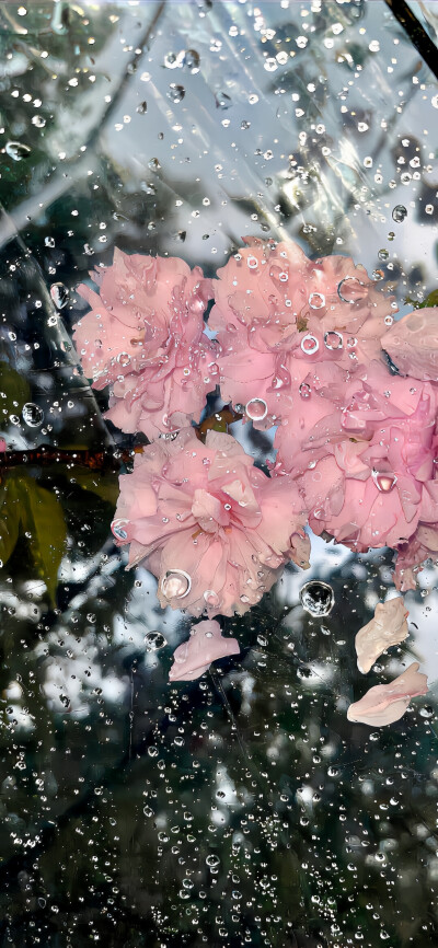 苹果3D壁纸