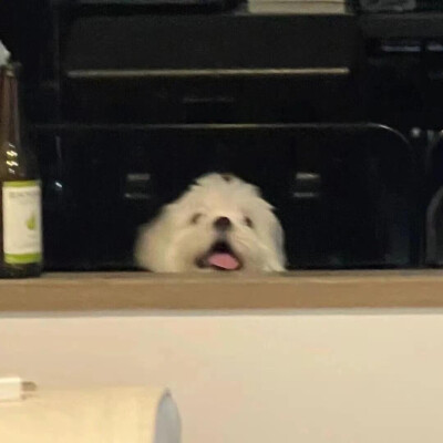 呵呵