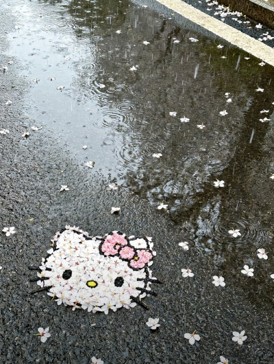 kitty头像米菲兔头像