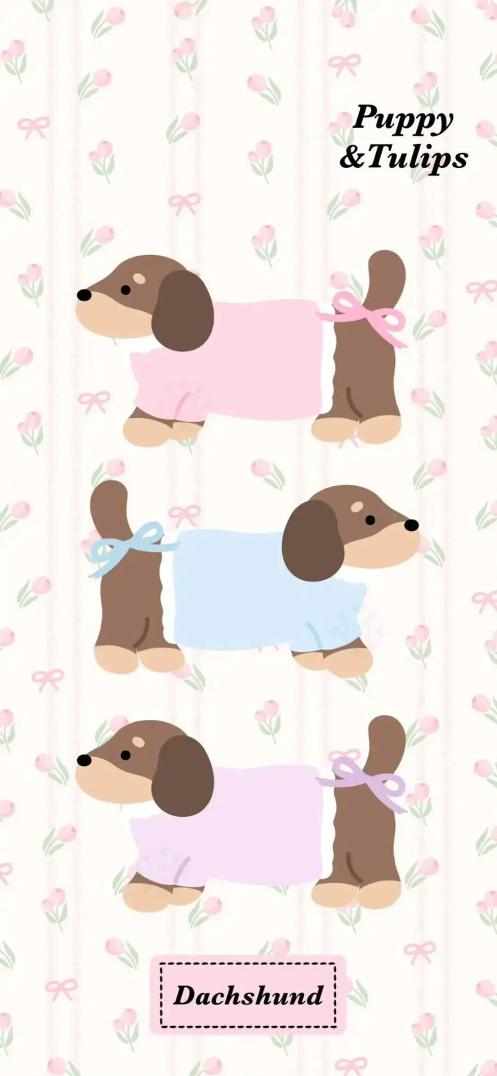 是超可爱的腊肠小狗呀૮ ・ﻌ・ა