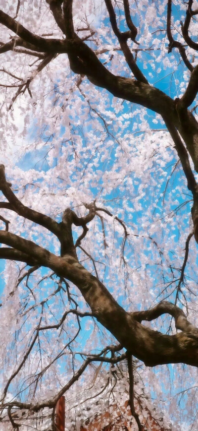 锁屏/壁纸