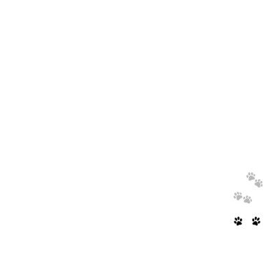 kitty头像米菲兔头像