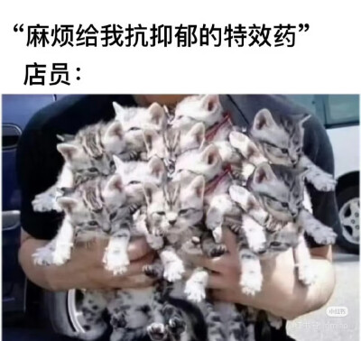 我是不会放弃收集这种图片的