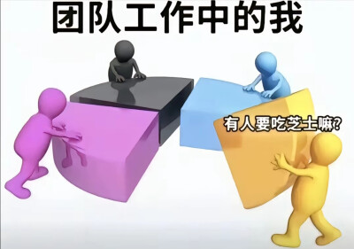 有人要吃芝士吗