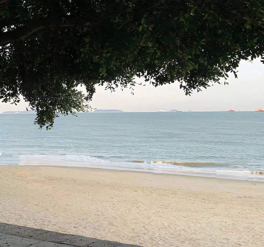 kitty头像米菲兔头像