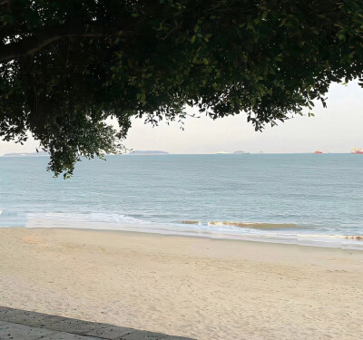 kitty头像米菲兔头像