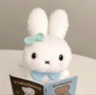 kitty头像米菲兔头像