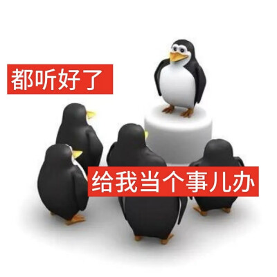 表情包