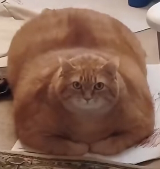 镜子里的自己在看自己