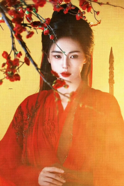 白鹿