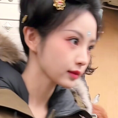 猫猫