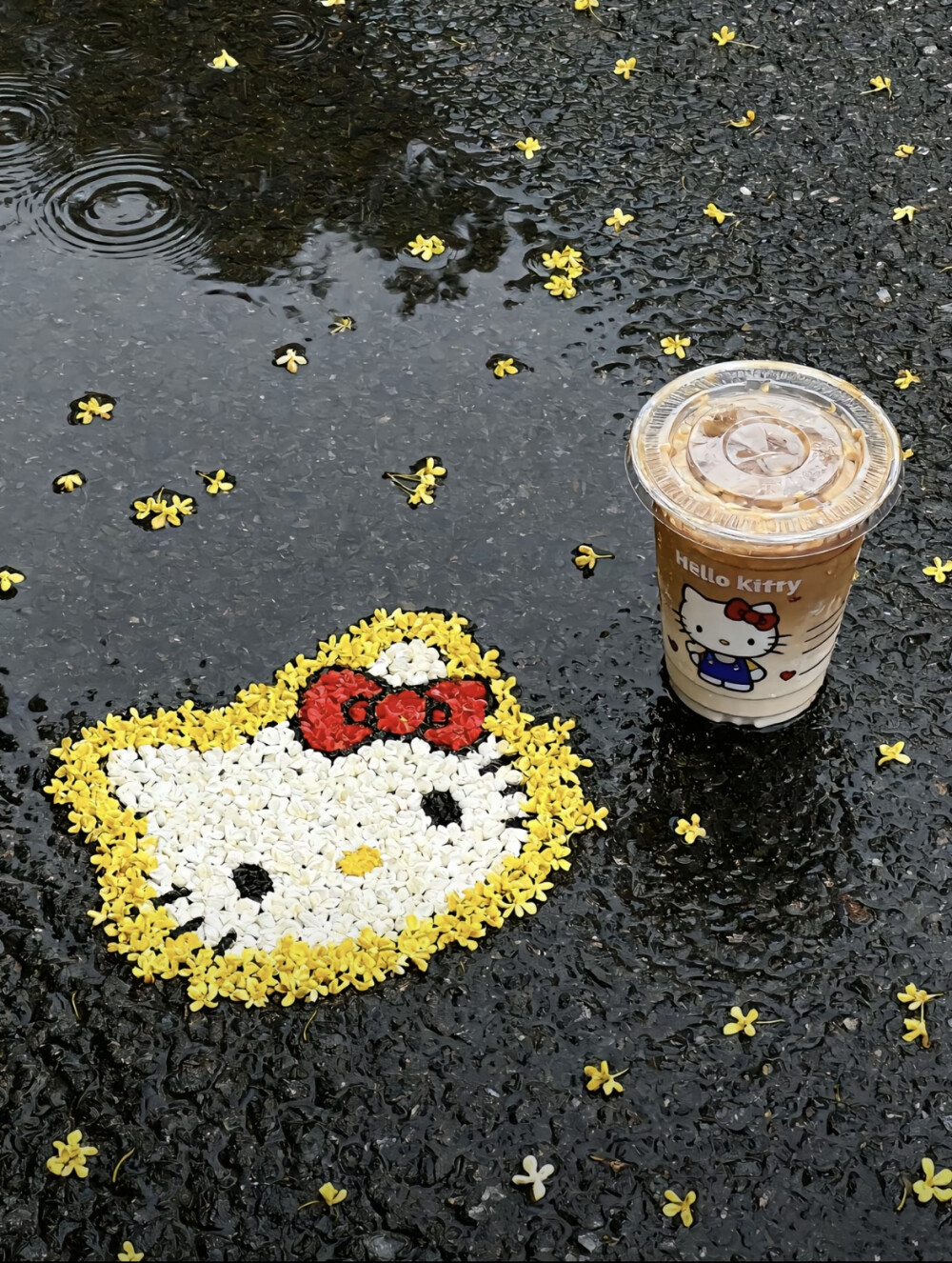 kitty头像米菲兔头像