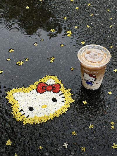 kitty头像米菲兔头像