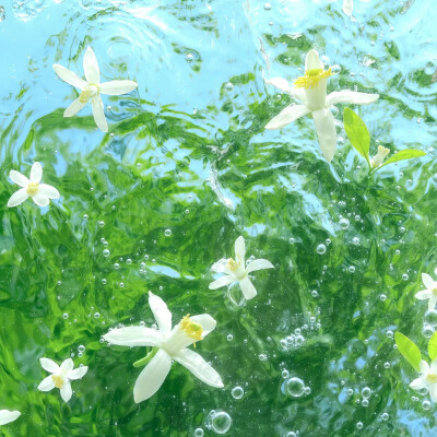 Nanの氛围感朋友圈搭配集