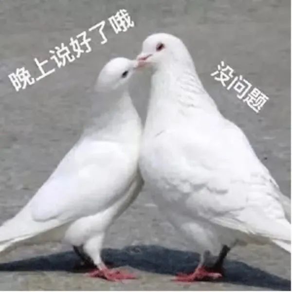 表情包