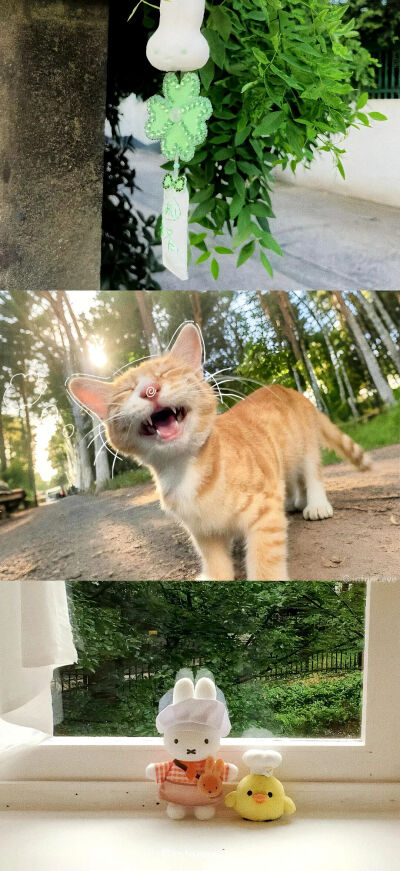 风景壁纸