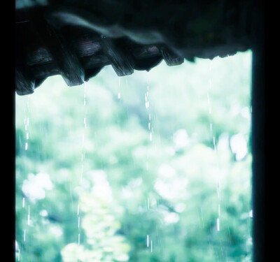 叶凡*
雾不清 竹不青