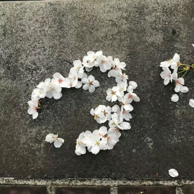 Nan//精选主页图 键盘壁纸 高清微信背景图 INS objects极简 文字 黑白 小众 氛围感 