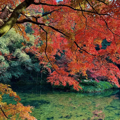 背景图 秋天来啦！