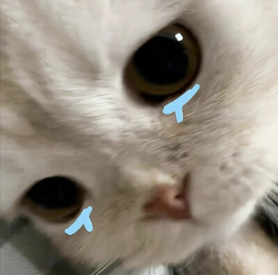 #$%&*