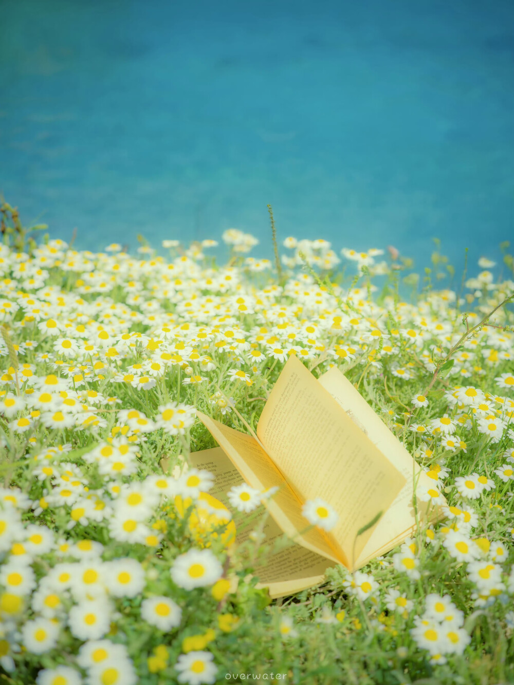 浮生暂寄梦中 |
恍惚的刹那中，穿过夏日的隧道。
一些接近于梦境的时刻 ​​​
by.@overwater