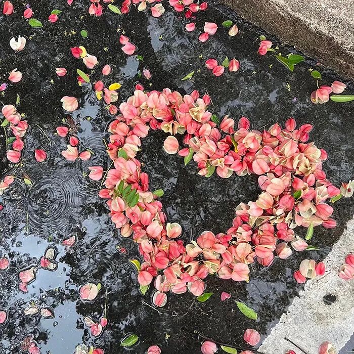 背景图 秋天来啦！