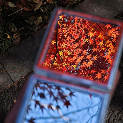 背景图 秋天来了