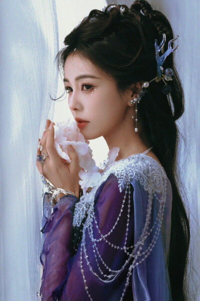 白鹿