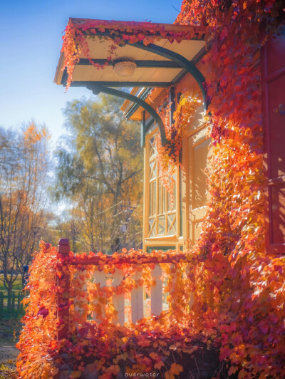 离人心上秋
那曾满树簌簌响的金红色热闹，终是离别声。
by.@overwater