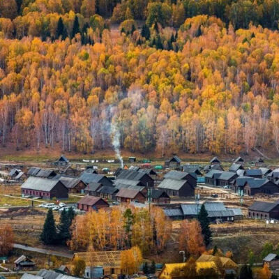 背景图 秋天来了