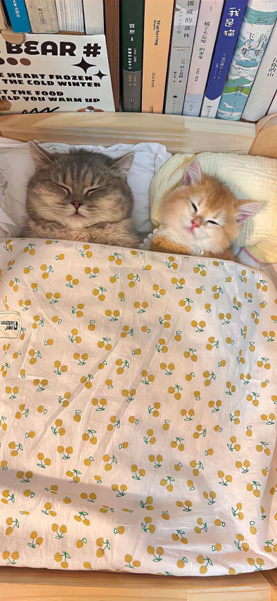 /