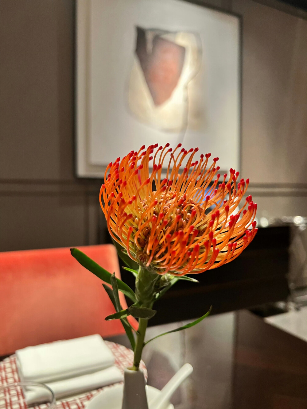 玥轩的乳鸽无可撼动第一名
皮脆肉嫩汁水炸裂