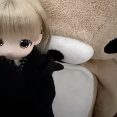 ( *ฅ́˘ฅ̀*)
