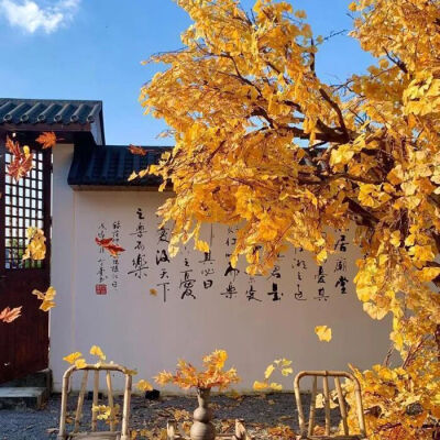 背景图 秋天来了