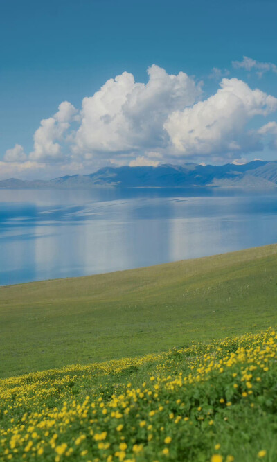 像鸟飞越你的山，
羽翼划开寂静，蔚蓝的天空。
拍摄于新疆 伊犁草原 赛里木湖 ​​​
by.@overwater